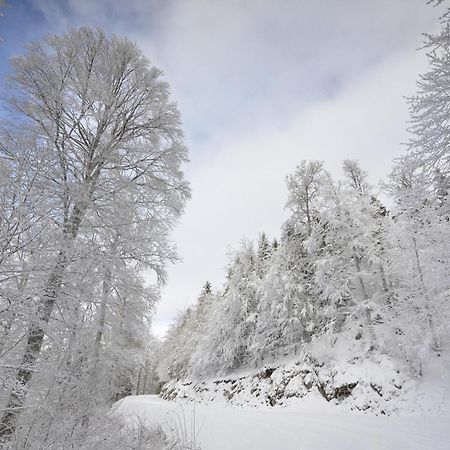 Gite Face Au Vercors Marches المظهر الخارجي الصورة