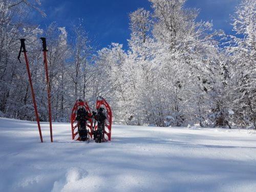 Gite Face Au Vercors Marches المظهر الخارجي الصورة