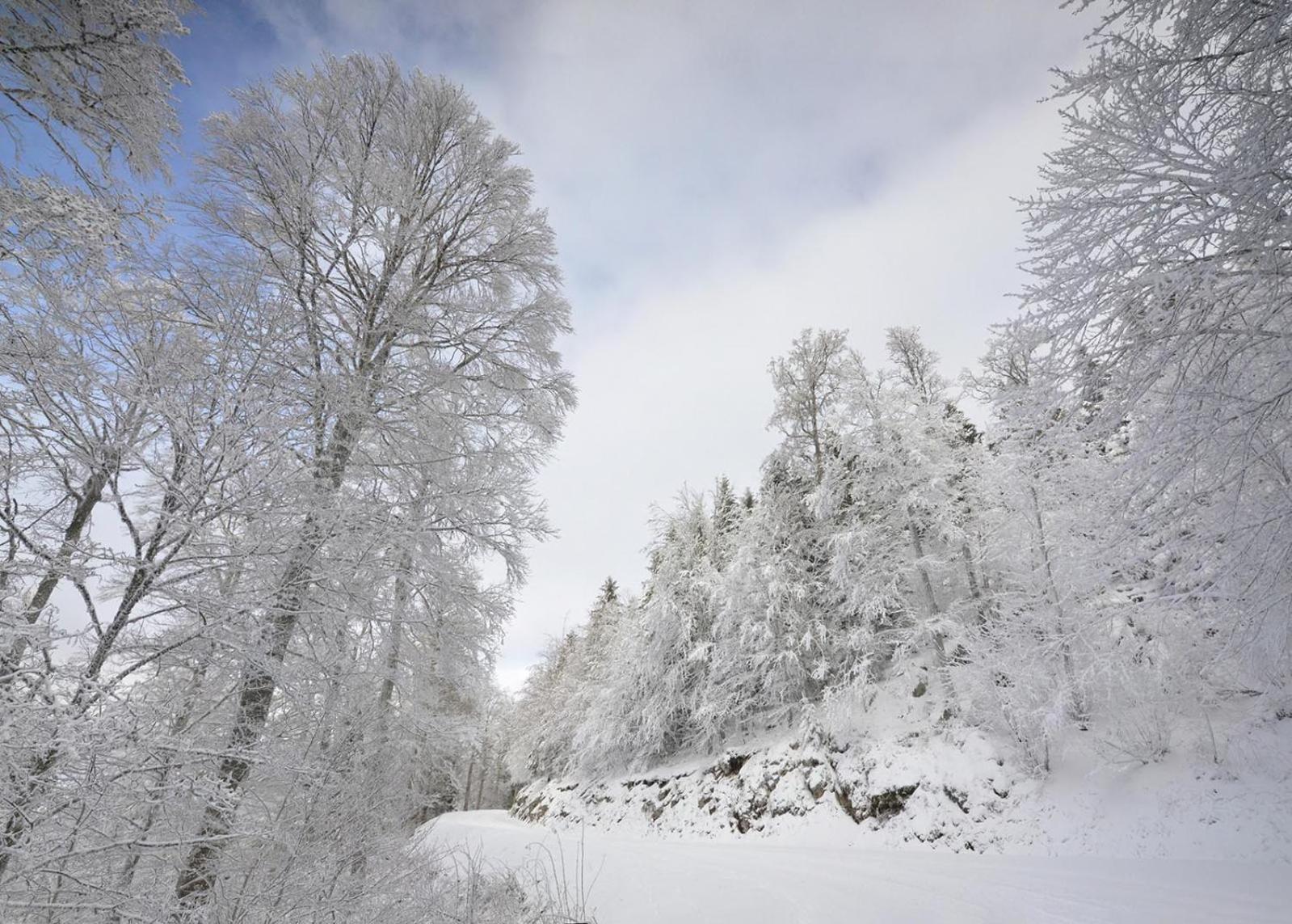 Gite Face Au Vercors Marches المظهر الخارجي الصورة