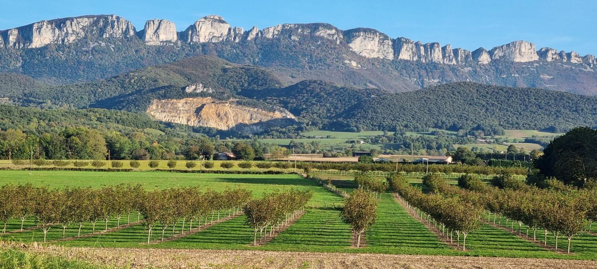 Gite Face Au Vercors Marches المظهر الخارجي الصورة